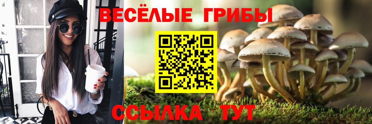 Унеча  Псилоцибиновые грибы прущие грибы  Вход с VPN 